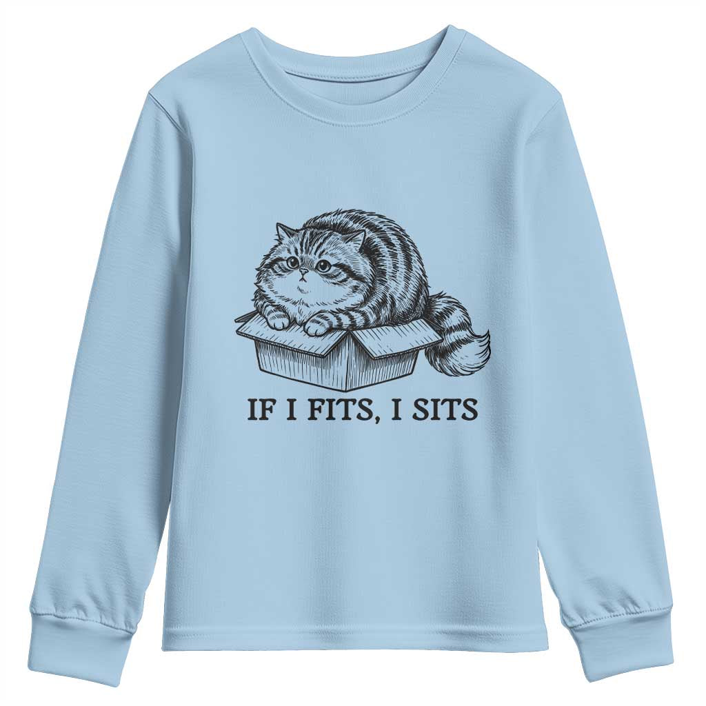 If I Fits I Sits Youth Sweatshirt Chubby Kitty Funny Cat Lover Gift TS12 Light Blue Print Your Wear