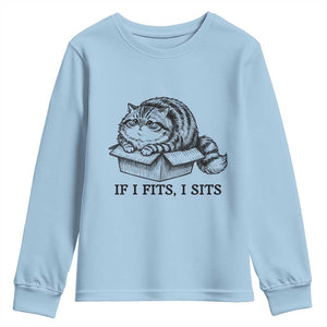 If I Fits I Sits Youth Sweatshirt Chubby Kitty Funny Cat Lover Gift TS12 Light Blue Print Your Wear