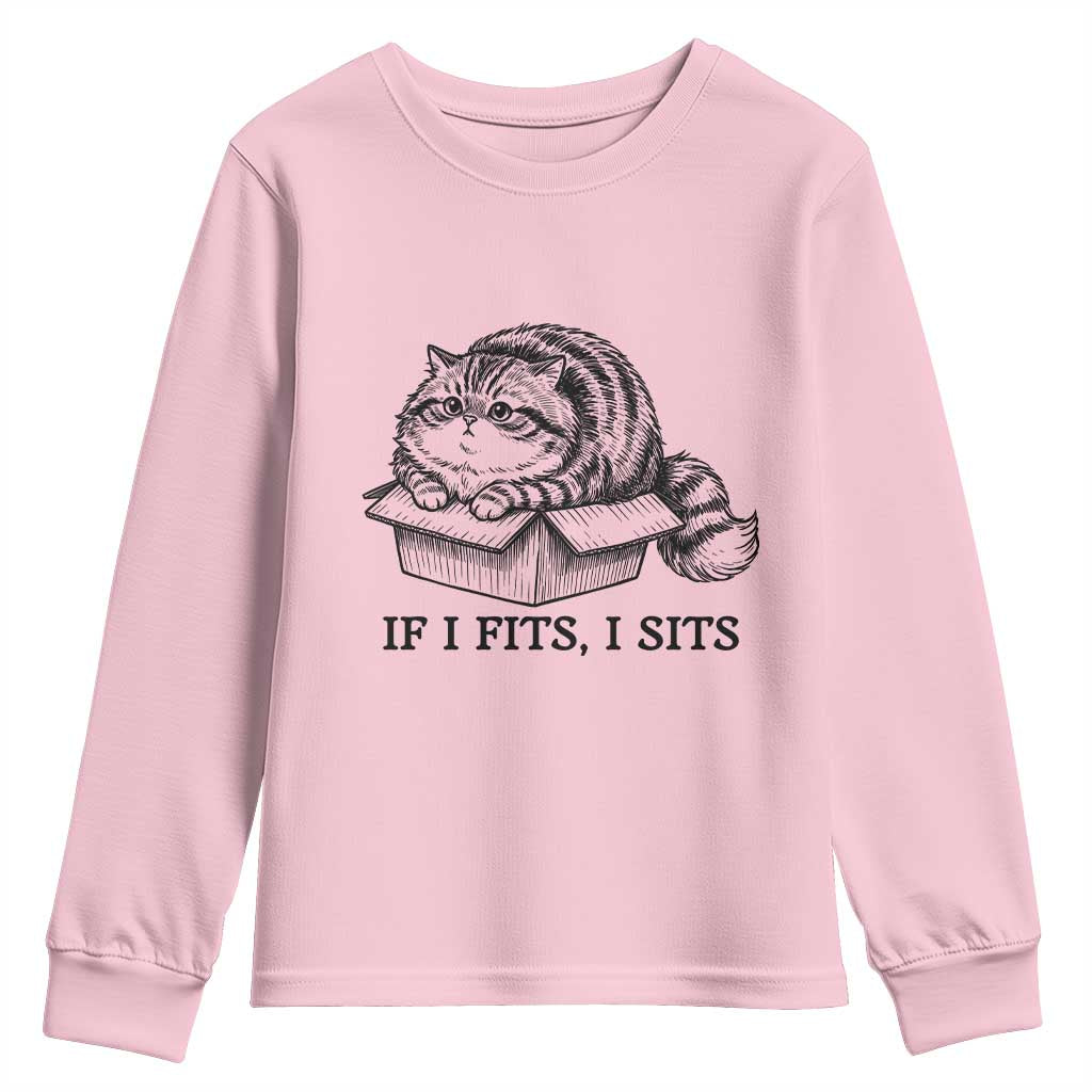 If I Fits I Sits Youth Sweatshirt Chubby Kitty Funny Cat Lover Gift TS12 Light Pink Print Your Wear