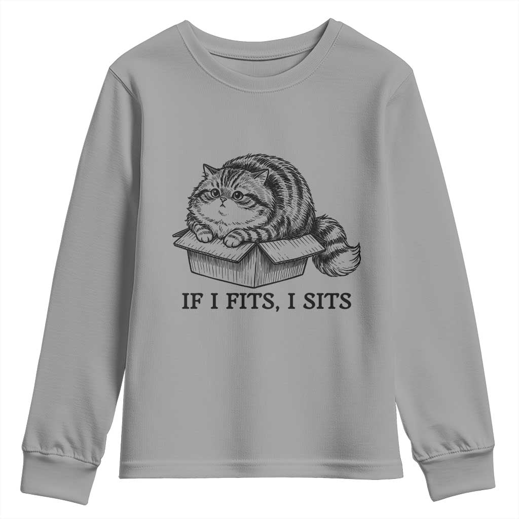 If I Fits I Sits Youth Sweatshirt Chubby Kitty Funny Cat Lover Gift TS12 Sport Gray Print Your Wear