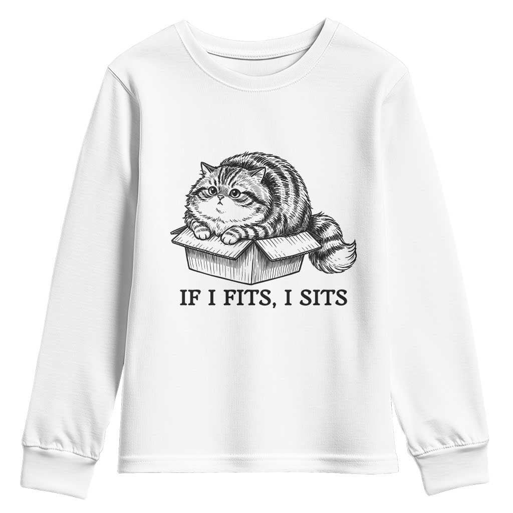If I Fits I Sits Youth Sweatshirt Chubby Kitty Funny Cat Lover Gift TS12 White Print Your Wear