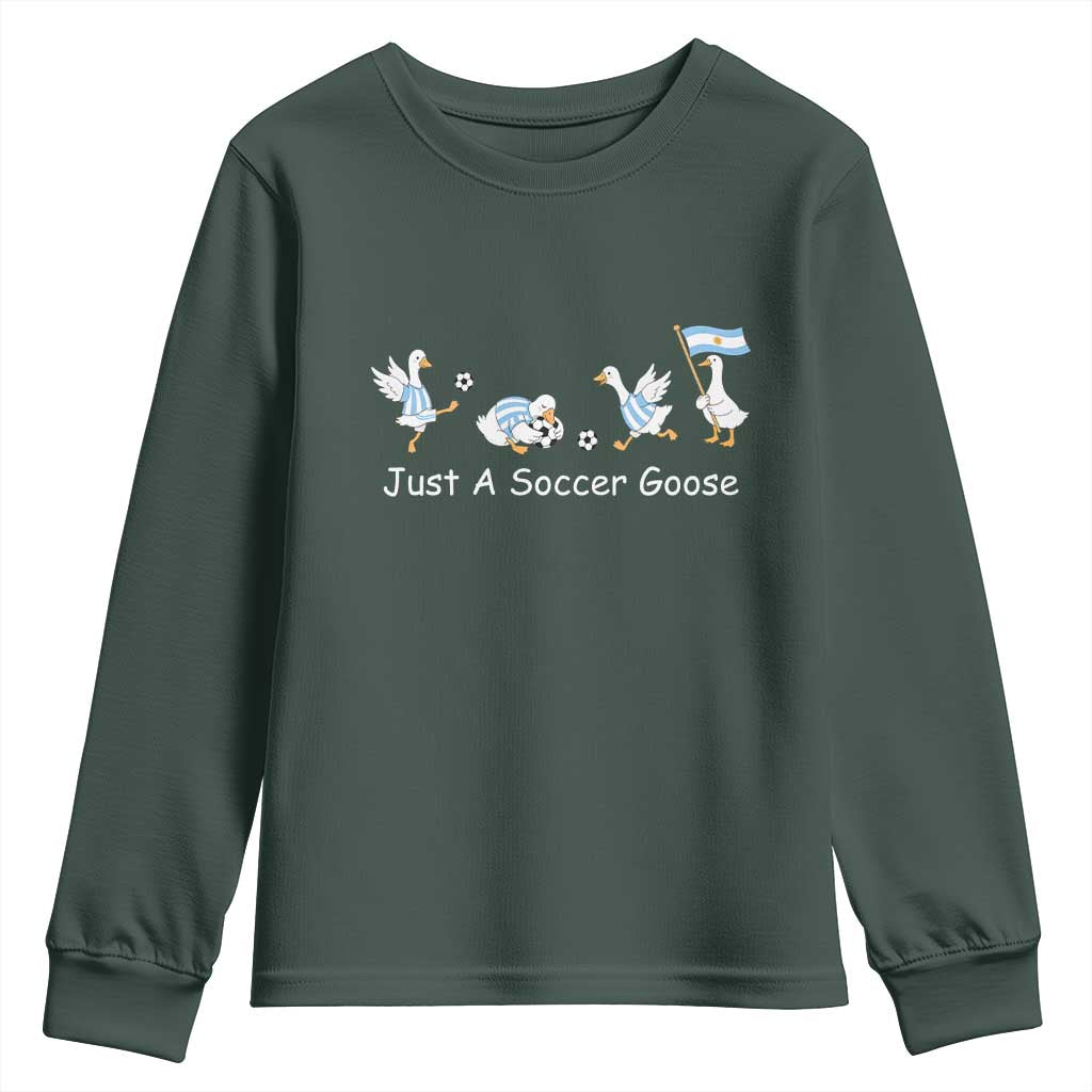 Funny Just A Soccer Goose Youth Sweatshirt Argentina Soccer Lover