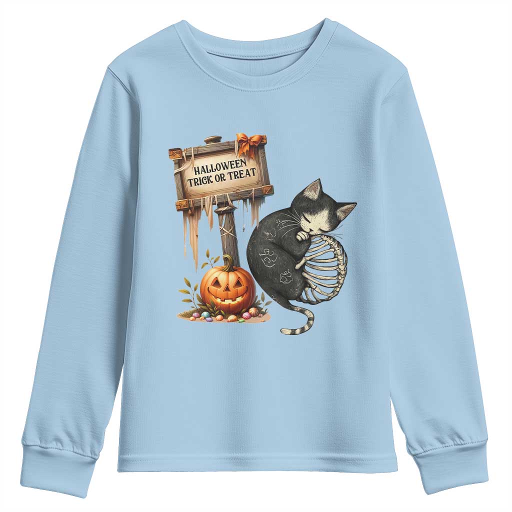 Halloween Trick Or Treat Black Cat Skeleton Youth Sweatshirt TS12 Light Blue Print Your Wear