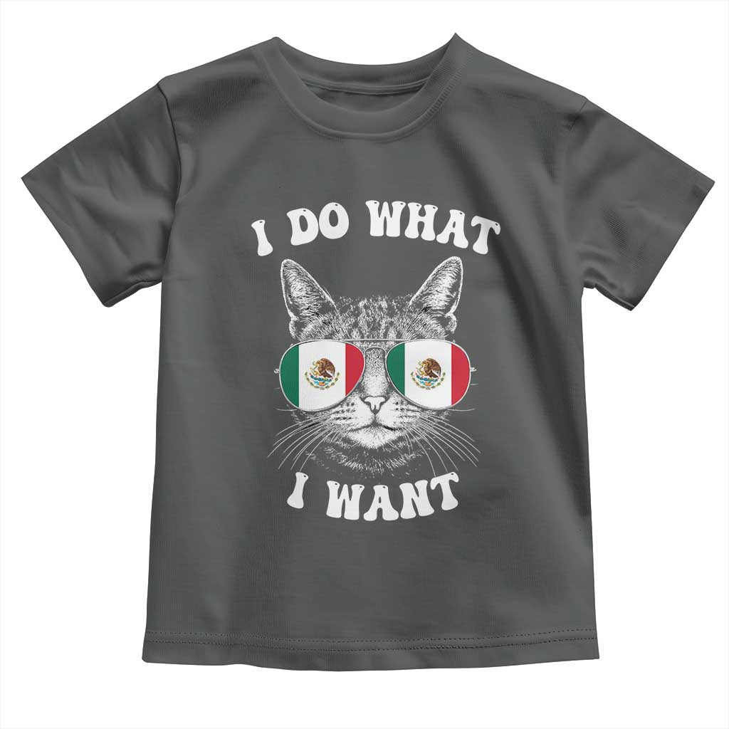 Mexican Cat Toddler T Shirt I Do What I Want Mexico Flag Sunglasses Funny TS12 Dark Heather Print Your Wear
