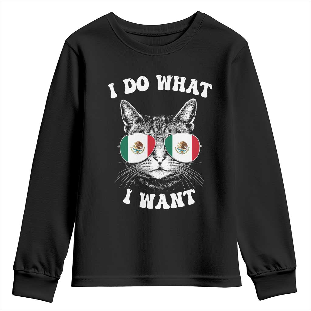 Mexican Cat Youth Sweatshirt I Do What I Want Mexico Flag Sunglasses Funny TS12 Black Print Your Wear