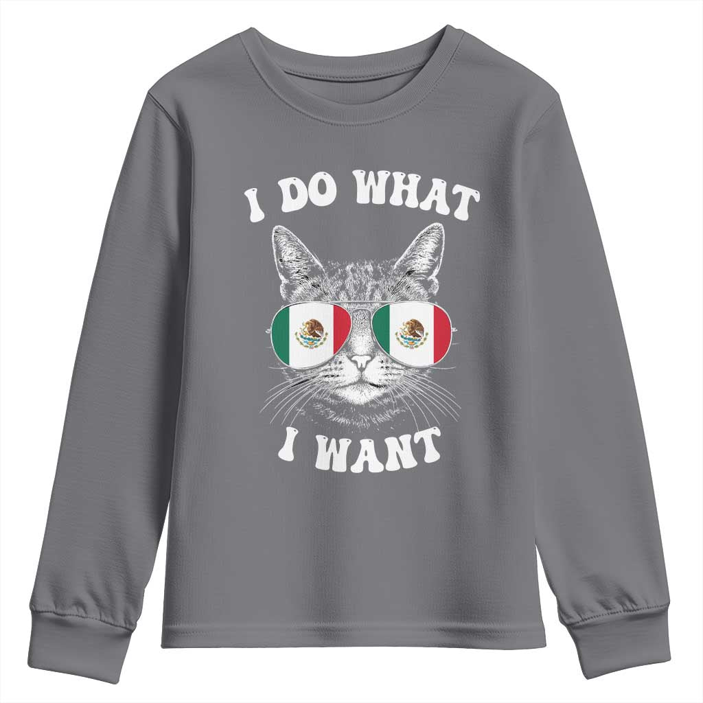 Mexican Cat Youth Sweatshirt I Do What I Want Mexico Flag Sunglasses Funny TS12 Charcoal Print Your Wear