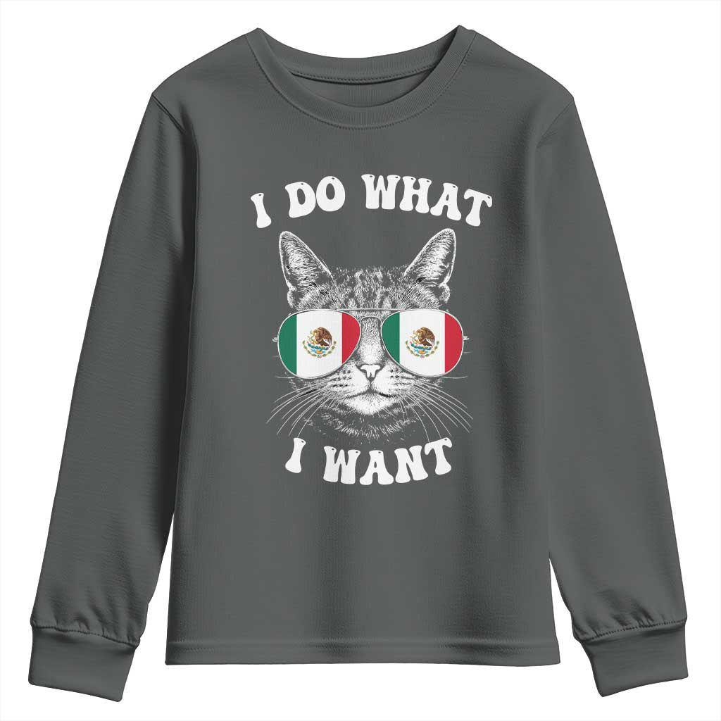 Mexican Cat Youth Sweatshirt I Do What I Want Mexico Flag Sunglasses Funny TS12 Dark Heather Print Your Wear