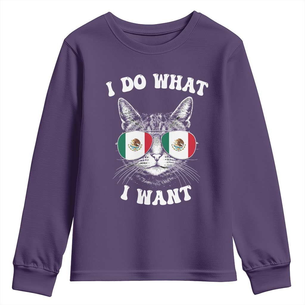 Mexican Cat Youth Sweatshirt I Do What I Want Mexico Flag Sunglasses Funny TS12 Purple Print Your Wear