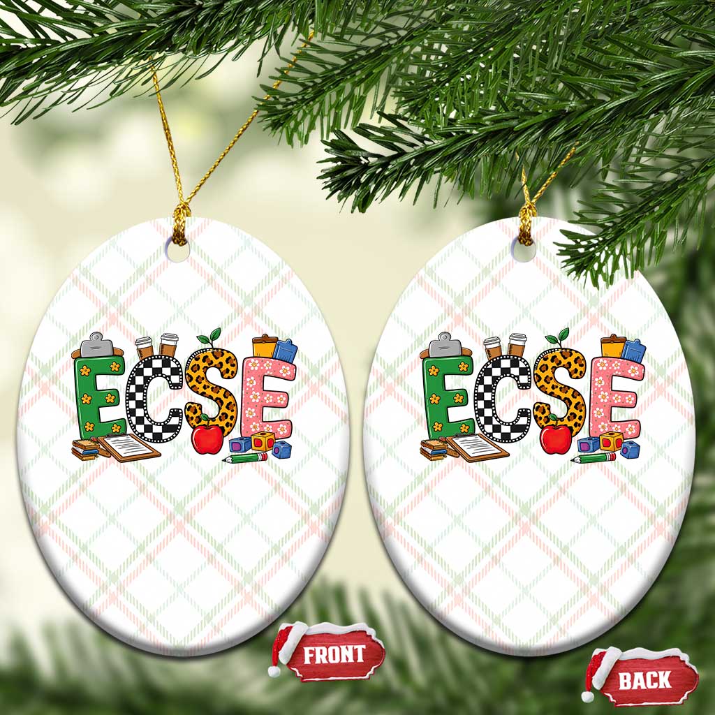 Early Childhood Special Education Teacher Ceramic Ornament ECSE Life