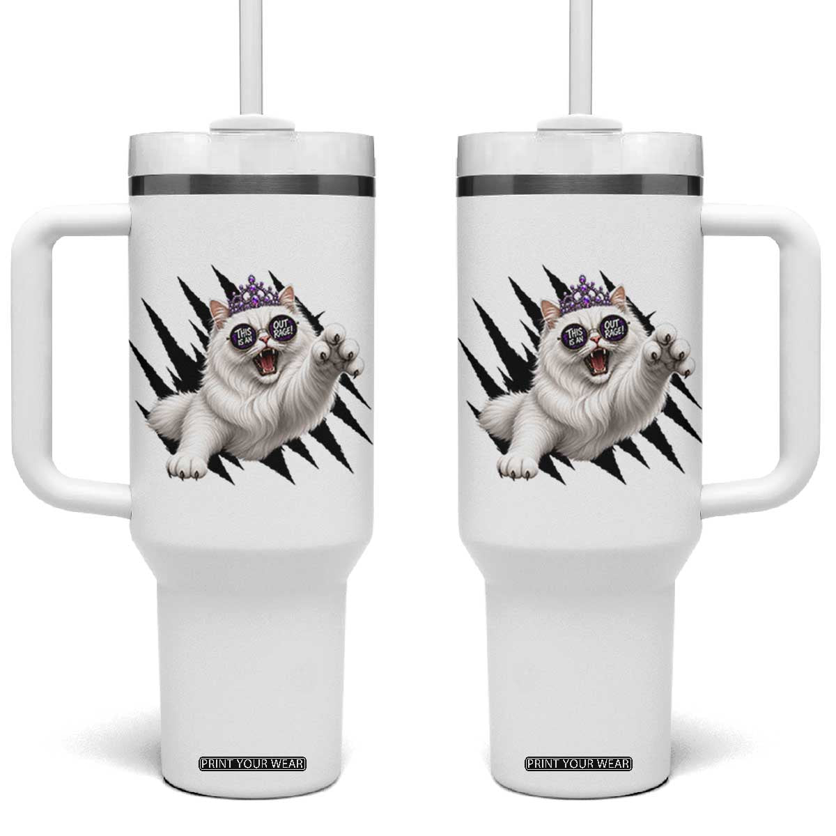 Funny Princess Cat With Featuring Scratch Effect Printed Tumbler With Handle This Is An Outrage
