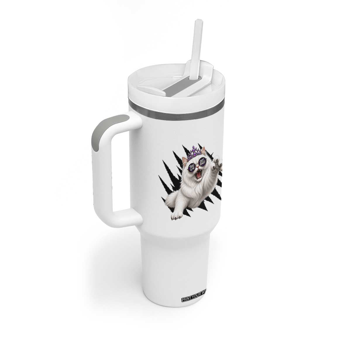Funny Princess Cat With Featuring Scratch Effect Printed Tumbler With Handle This Is An Outrage