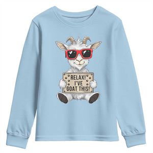 Relax I Have Goat This Youth Sweatshirt Funny Goat Lover Gift TS12 Light Blue Print Your Wear