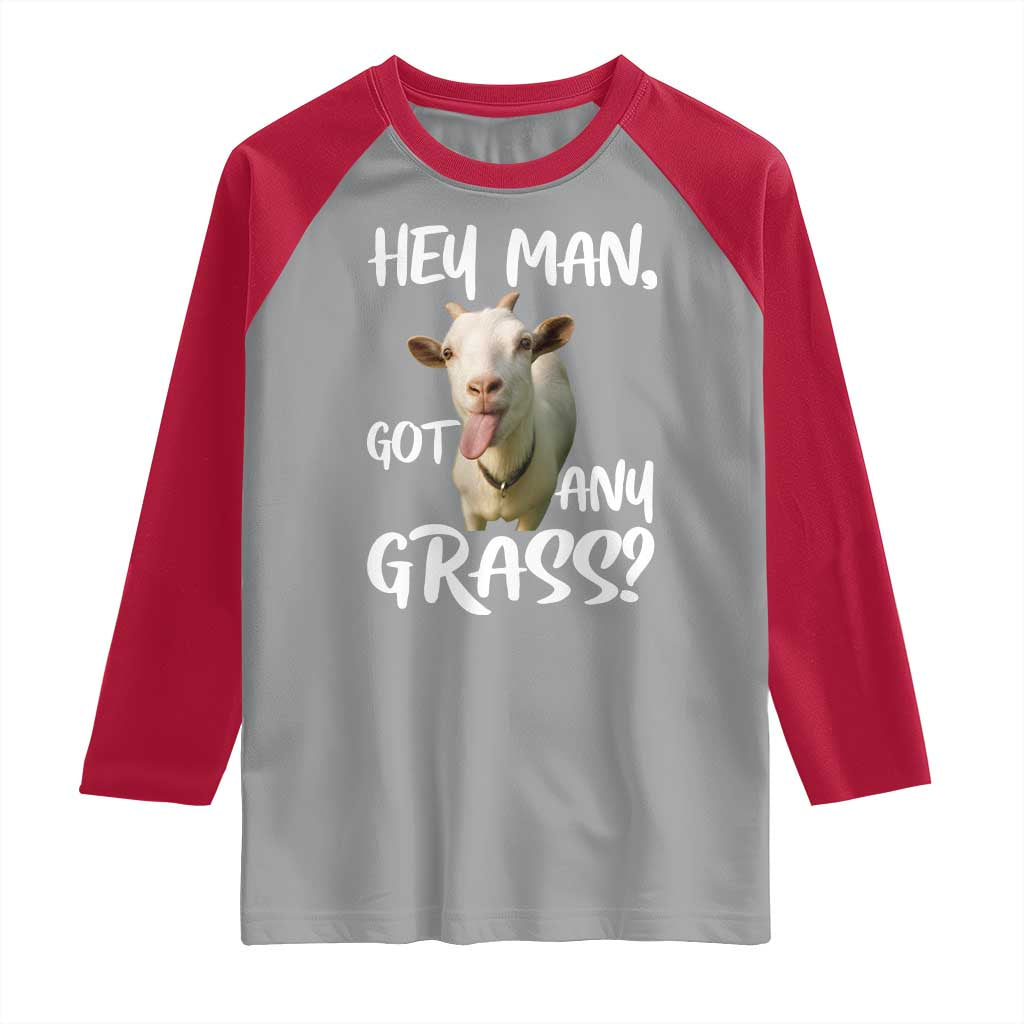 Hey Man Got Any Grass Raglan Shirt Funny Goat Stoner Gift TS12 Sport Gray Red Print Your Wear
