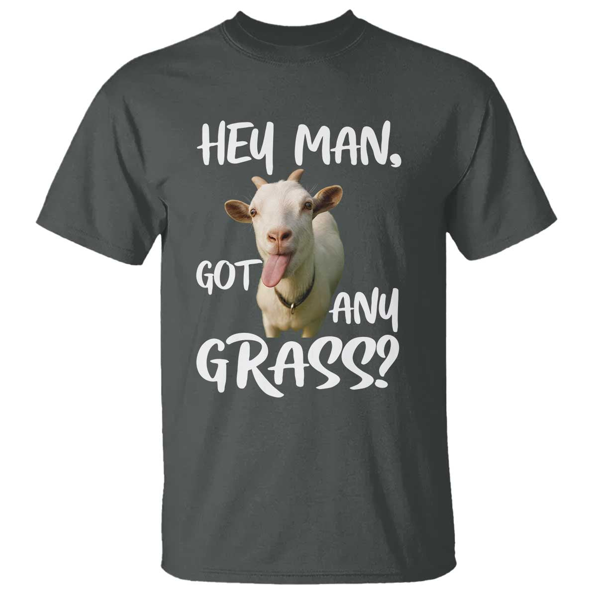 Hey Man Got Any Grass T Shirt Funny Goat Stoner Gift TS12 Dark Heather Print Your Wear