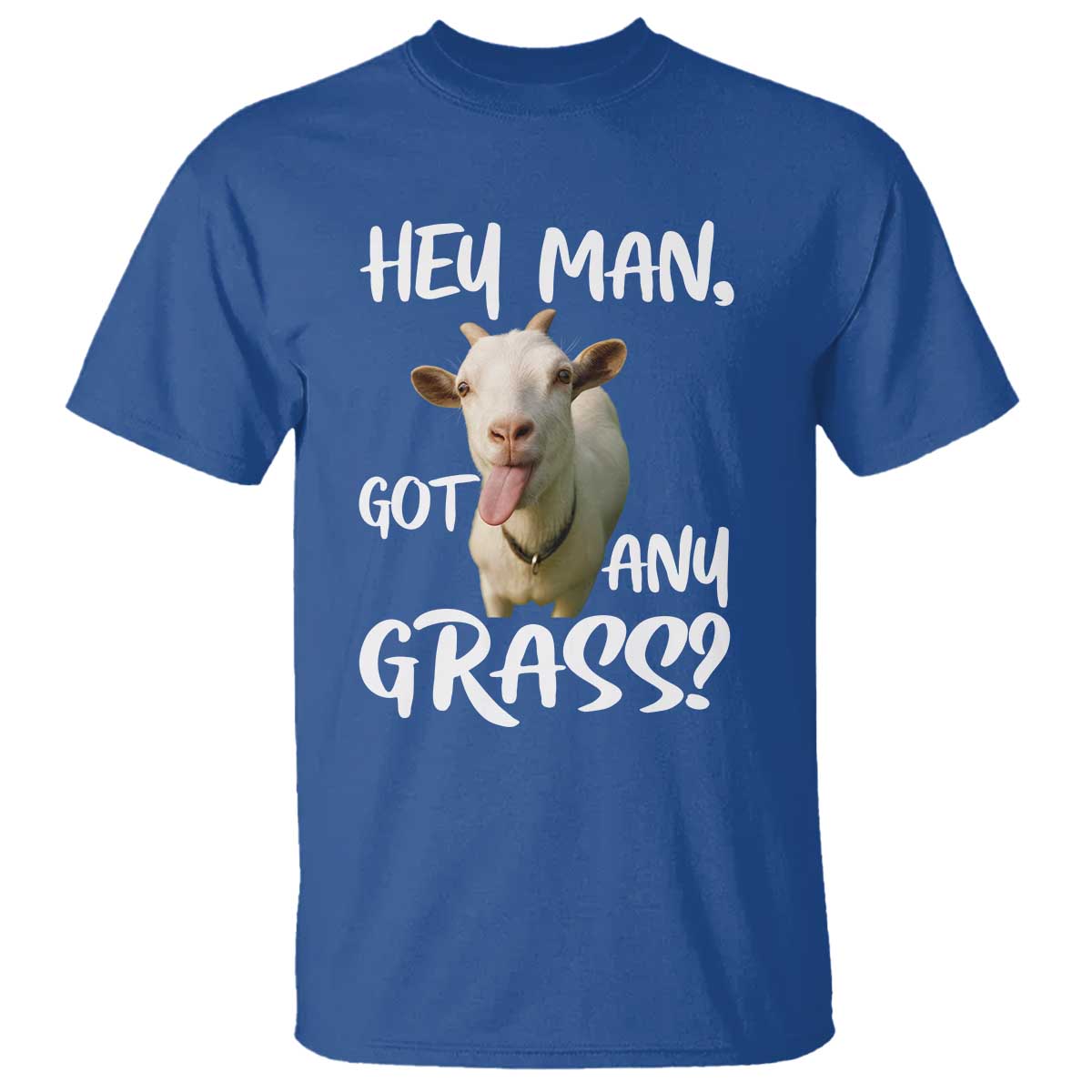 Hey Man Got Any Grass T Shirt Funny Goat Stoner Gift TS12 Royal Blue Print Your Wear