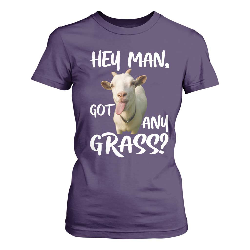 Hey Man Got Any Grass T Shirt For Women Funny Goat Stoner Gift TS12 Purple Print Your Wear