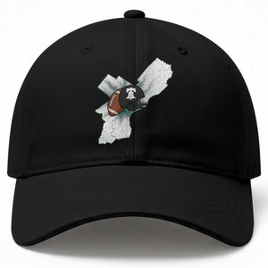 Funny Vintage PFF Baseball Cap Sport Humor Gift TS12 Print Your Wear