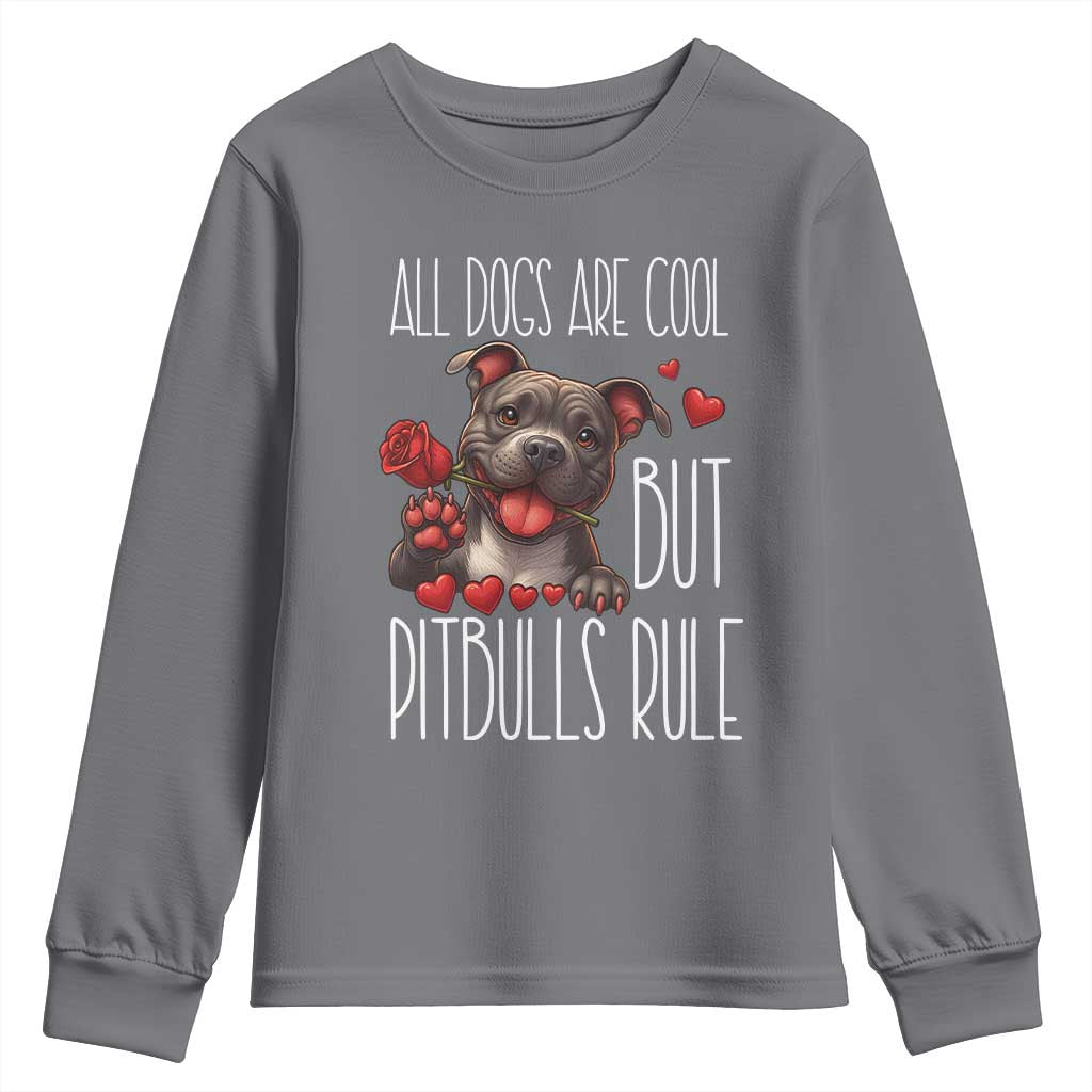 Pitbull Lover Youth Sweatshirt All Dogs Are Cool But Pitbulls Rule TS12 Charcoal Print Your Wear