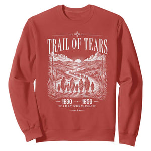 Cherokee History Native American Vintage Gift Sweatshirt They Survived Trail Of Tears