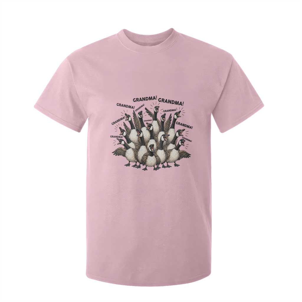 Funny Silly Goose Grandma T Shirt For Kid Chaos Coordinator Grandma Life Graphic TS12 Light Pink Print Your Wear
