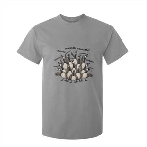 Funny Silly Goose Grandma T Shirt For Kid Chaos Coordinator Grandma Life Graphic TS12 Sport Gray Print Your Wear