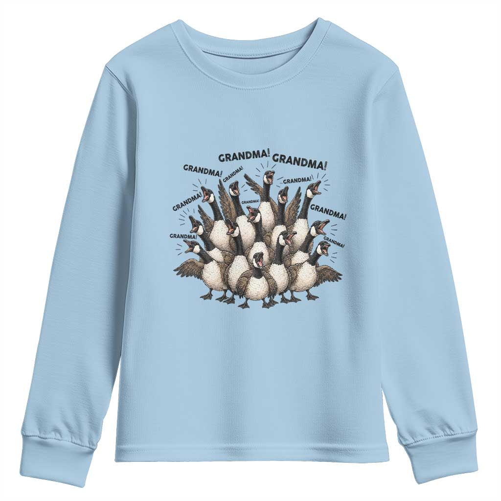Funny Silly Goose Grandma Youth Sweatshirt Chaos Coordinator Grandma Life Graphic TS12 Light Blue Print Your Wear