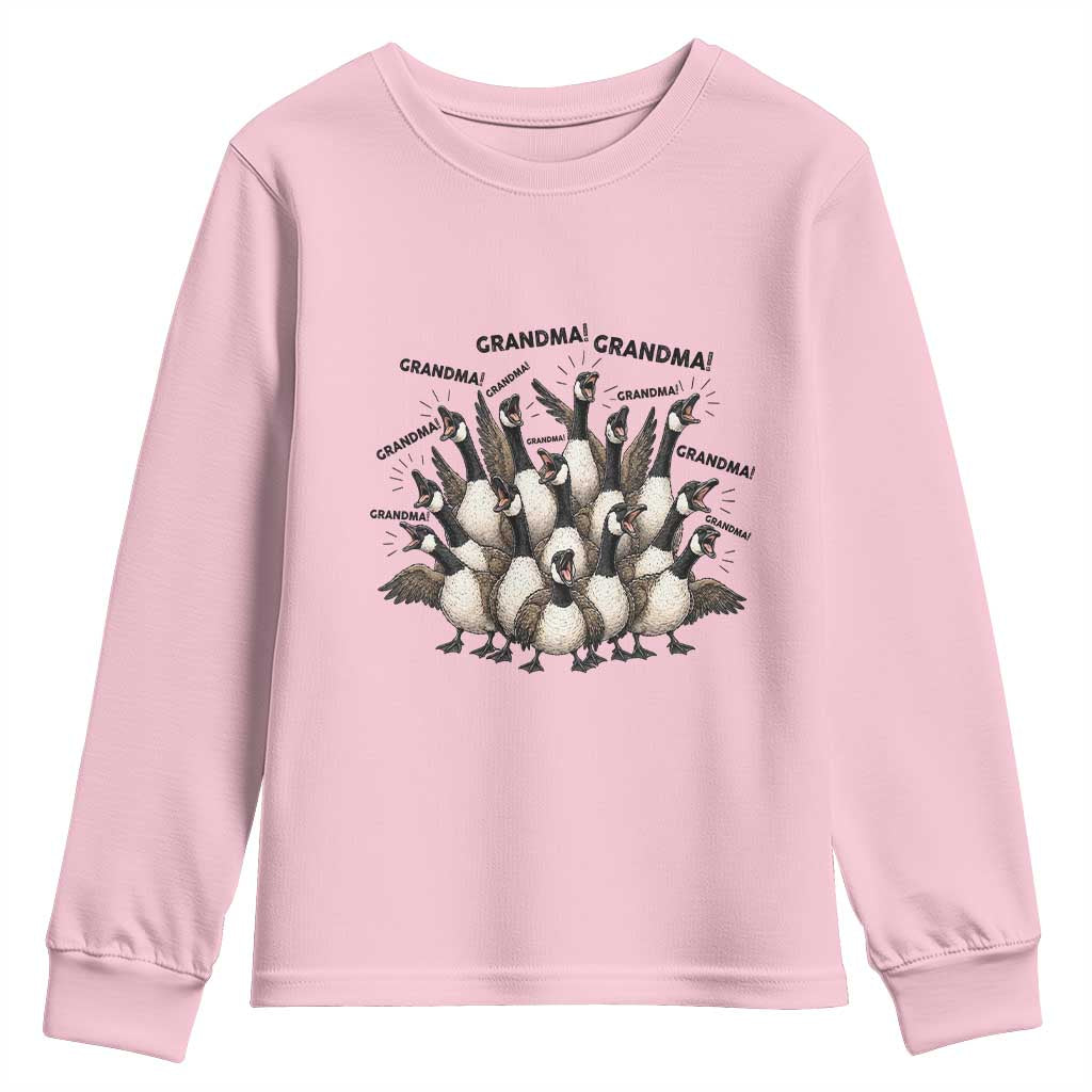 Funny Silly Goose Grandma Youth Sweatshirt Chaos Coordinator Grandma Life Graphic TS12 Light Pink Print Your Wear