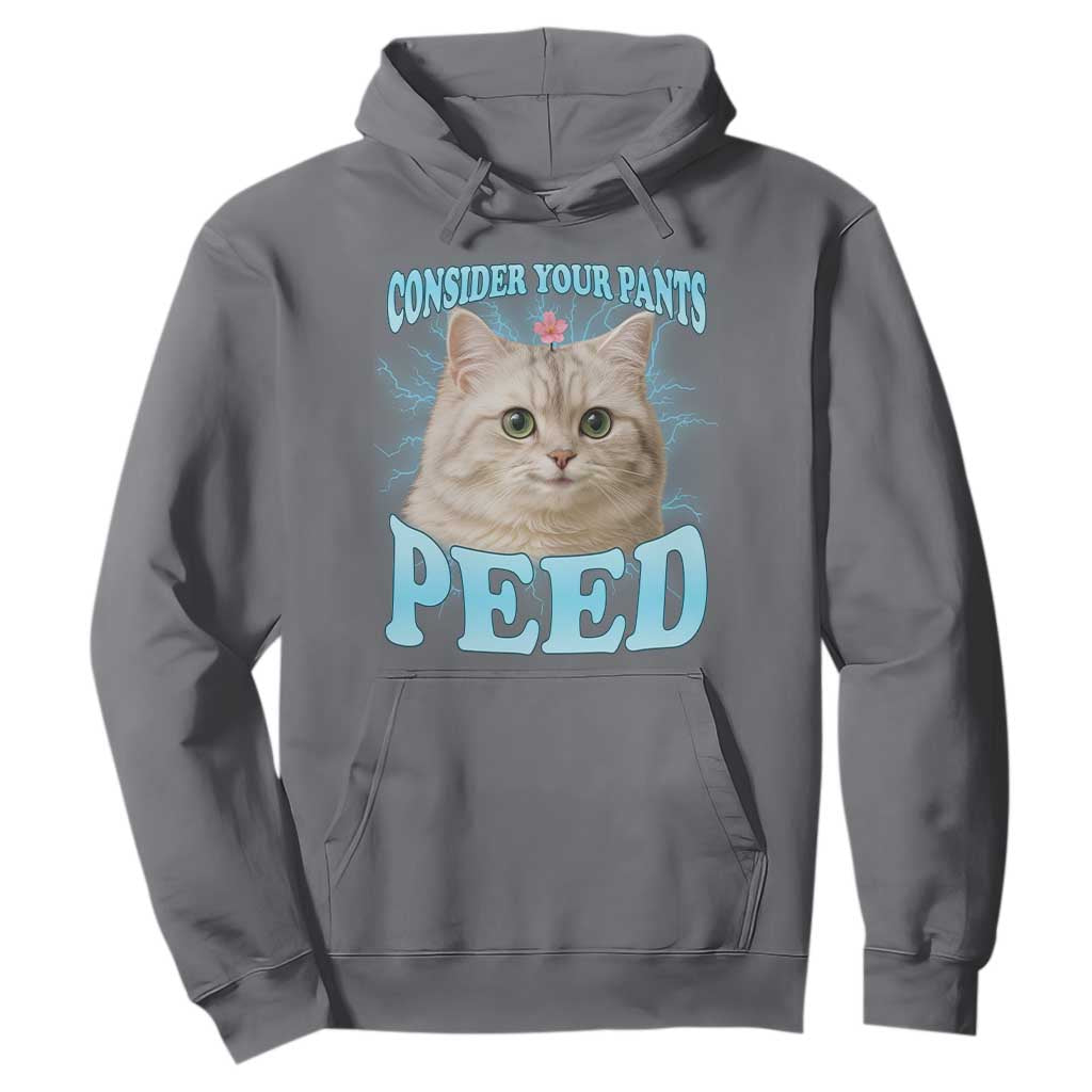 Funny Cat Hoodie Consider Your Pants Peed Meme Saying TS12 Charcoal Print Your Wear