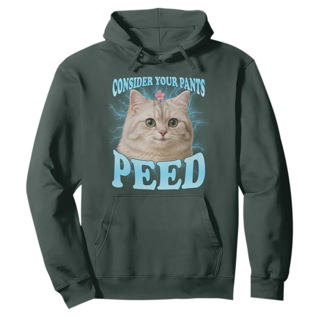 Funny Cat Hoodie Consider Your Pants Peed Meme Saying TS12 Dark Forest Green Print Your Wear