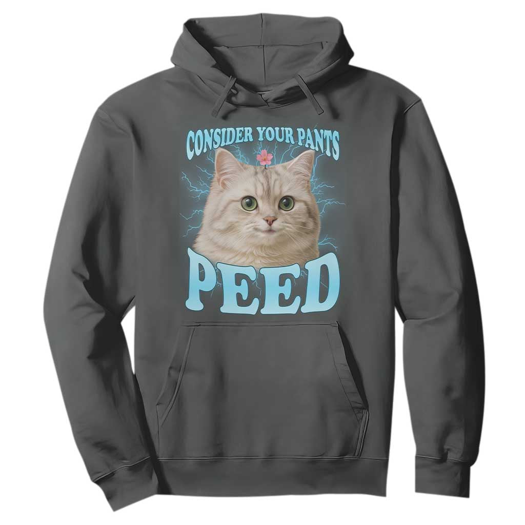 Funny Cat Hoodie Consider Your Pants Peed Meme Saying TS12 Dark Heather Print Your Wear