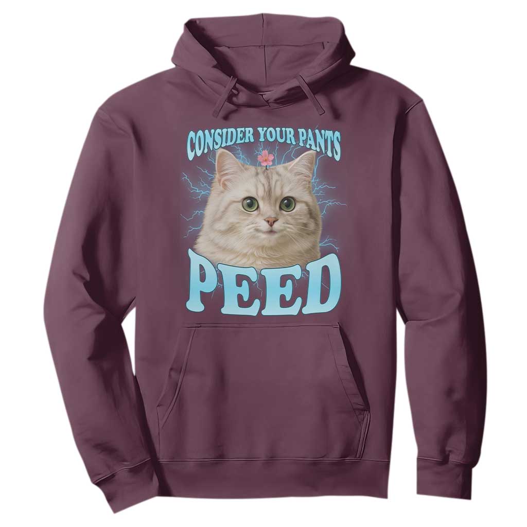 Funny Cat Hoodie Consider Your Pants Peed Meme Saying TS12 Maroon Print Your Wear