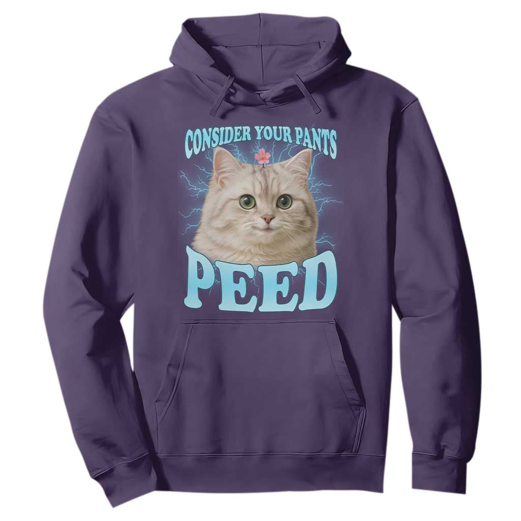 Funny Cat Hoodie Consider Your Pants Peed Meme Saying TS12 Purple Print Your Wear