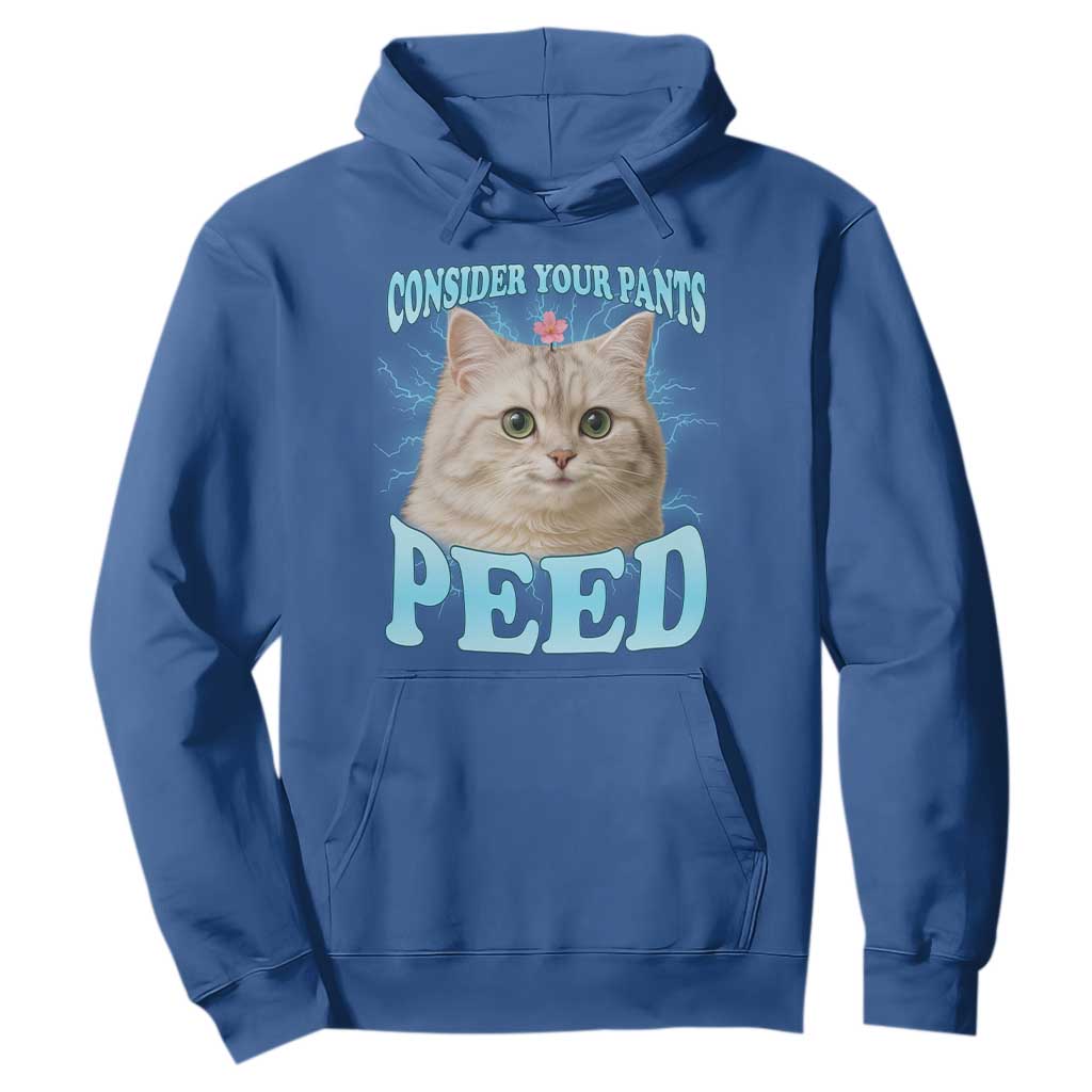 Funny Cat Hoodie Consider Your Pants Peed Meme Saying TS12 Royal Blue Print Your Wear