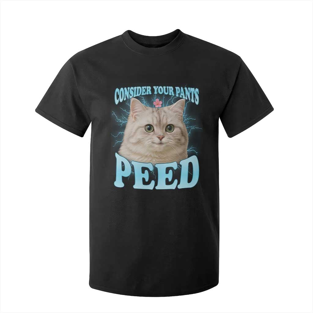 Funny Cat T Shirt For Kid Consider Your Pants Peed Meme Saying TS12 Black Print Your Wear