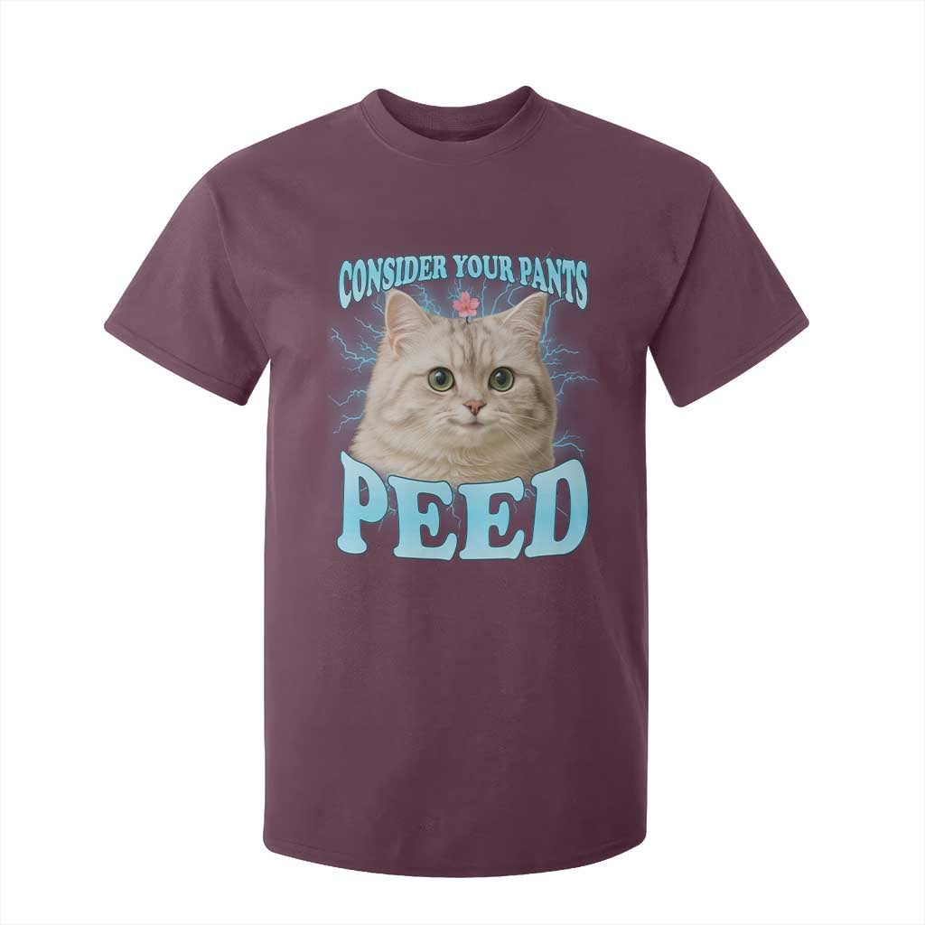 Funny Cat T Shirt For Kid Consider Your Pants Peed Meme Saying TS12 Maroon Print Your Wear