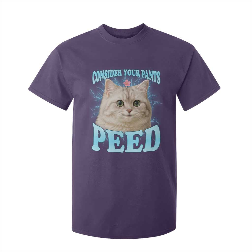 Funny Cat T Shirt For Kid Consider Your Pants Peed Meme Saying TS12 Purple Print Your Wear
