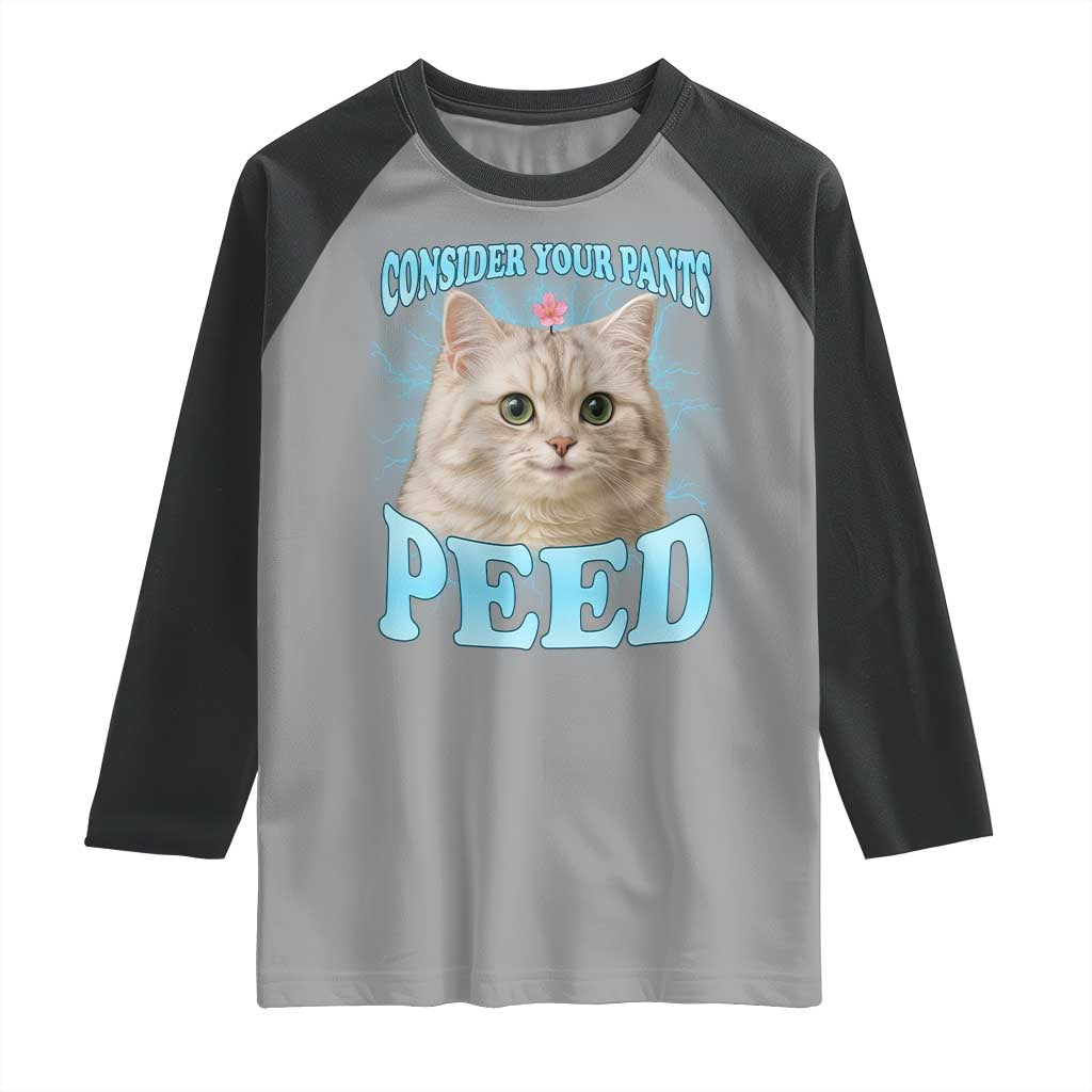 Funny Cat Raglan Shirt Consider Your Pants Peed Meme Saying TS12 Sport Gray Black Print Your Wear