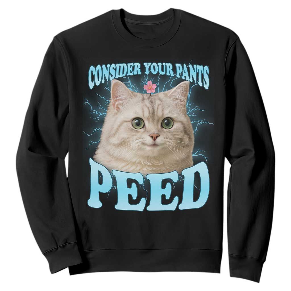 Funny Cat Sweatshirt Consider Your Pants Peed Meme Saying TS12 Black Print Your Wear
