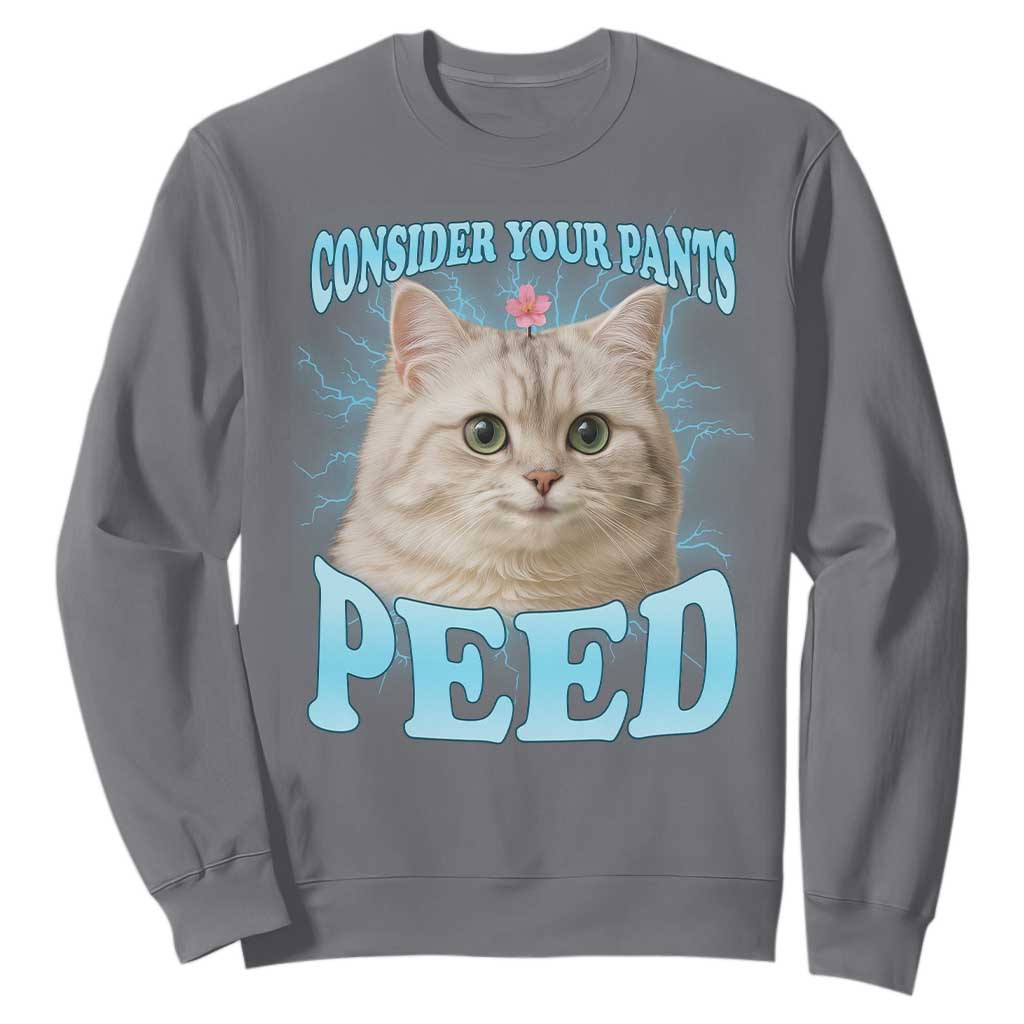 Funny Cat Sweatshirt Consider Your Pants Peed Meme Saying TS12 Charcoal Print Your Wear