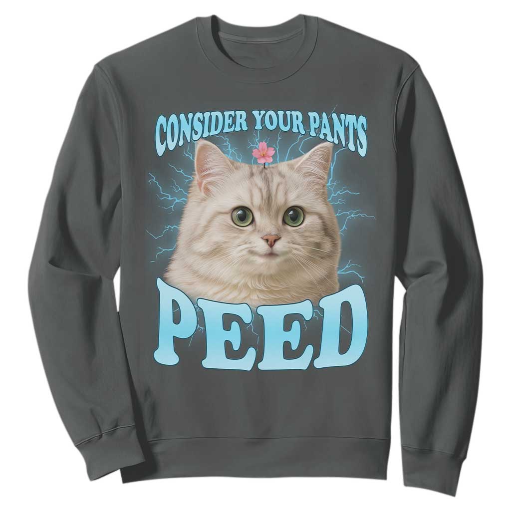 Funny Cat Sweatshirt Consider Your Pants Peed Meme Saying TS12 Dark Heather Print Your Wear