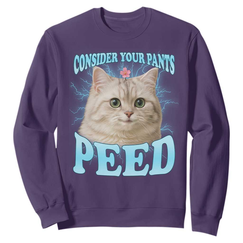 Funny Cat Sweatshirt Consider Your Pants Peed Meme Saying TS12 Purple Print Your Wear