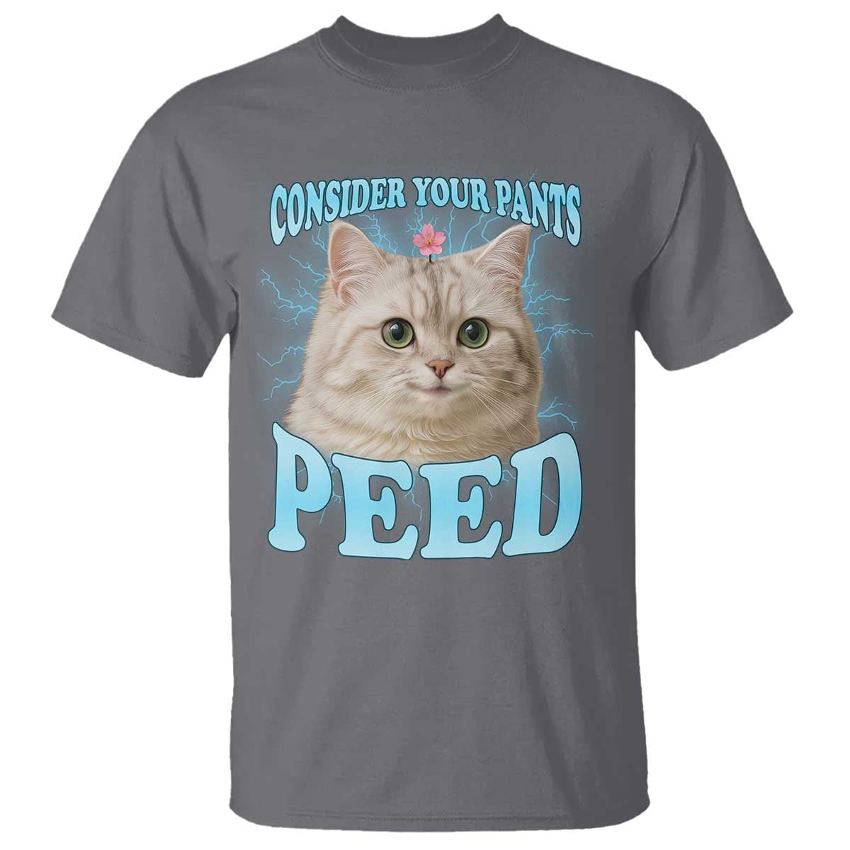 Funny Cat T Shirt Consider Your Pants Peed Meme Saying TS12 Charcoal Print Your Wear