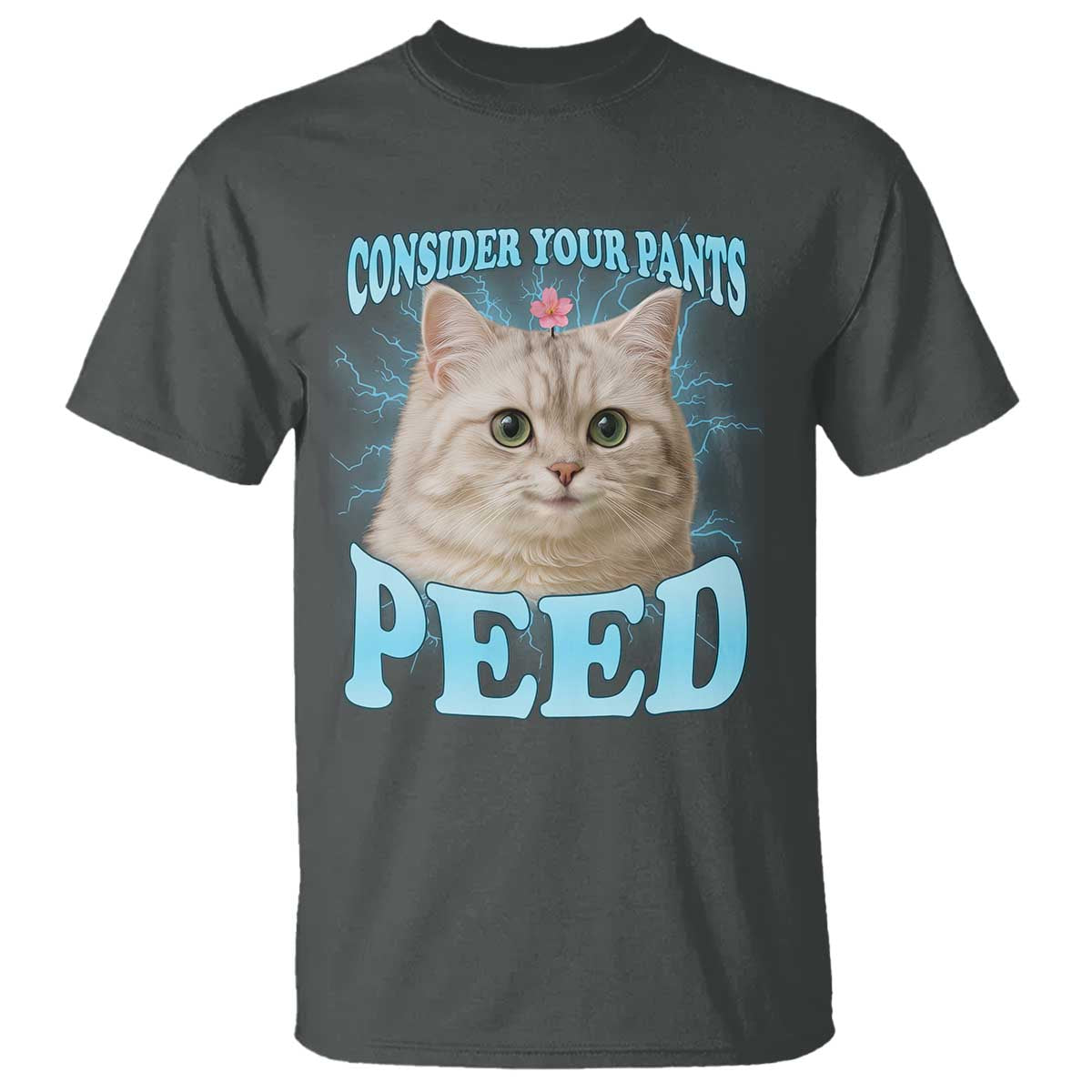 Funny Cat T Shirt Consider Your Pants Peed Meme Saying TS12 Dark Heather Print Your Wear