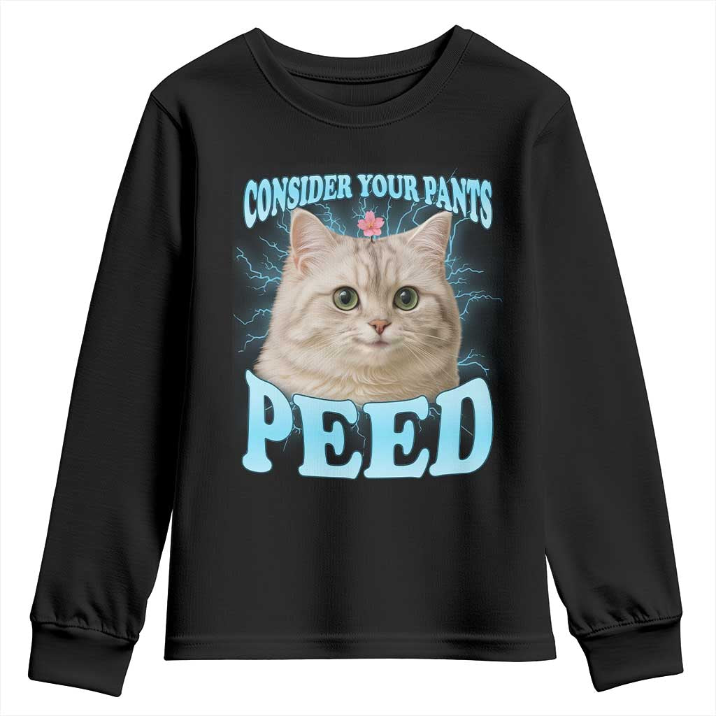 Funny Cat Youth Sweatshirt Consider Your Pants Peed Meme Saying TS12 Black Print Your Wear