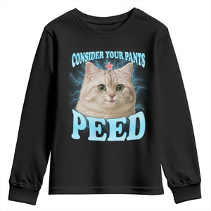 Funny Cat Youth Sweatshirt Consider Your Pants Peed Meme Saying TS12 Black Print Your Wear