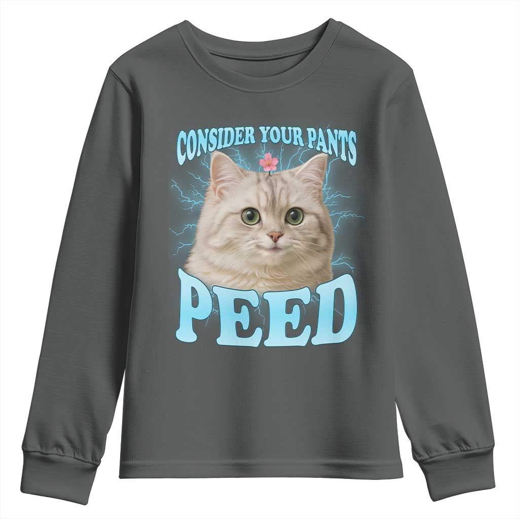 Funny Cat Youth Sweatshirt Consider Your Pants Peed Meme Saying TS12 Dark Heather Print Your Wear