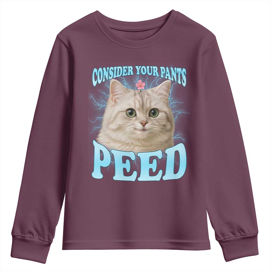 Funny Cat Youth Sweatshirt Consider Your Pants Peed Meme Saying TS12 Maroon Print Your Wear