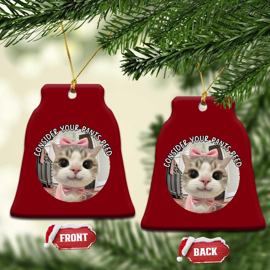 Consider Your Pants Peed Ceramic Ornament Funny Cat Meme Saying TS12 Print Your Wear