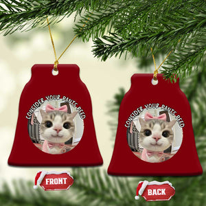 Consider Your Pants Peed Ceramic Ornament Funny Cat Meme Saying TS12 Print Your Wear