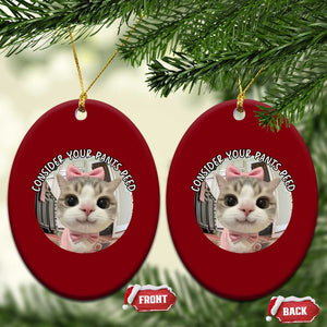 Consider Your Pants Peed Ceramic Ornament Funny Cat Meme Saying TS12 Print Your Wear